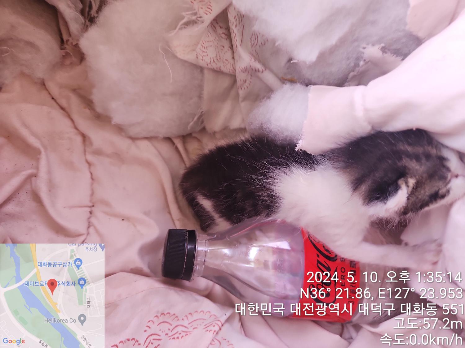 대전동물보호센터_430368202400200
